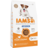 IAMS ProActive Health Adult Light in Fat for Sterilsed/Overweight dogs Chicken 3 kg