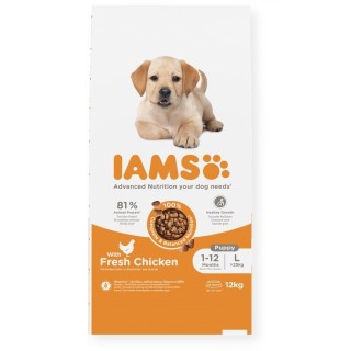 IAMS ProActive Health Puppy &amp, Junior Large Breed Chicken 12 kg