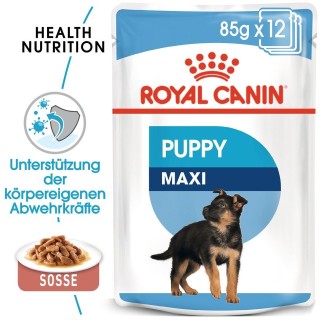 ROYAL CANIN MAXI PUPPY Welpenfutter nass für große Hunde 10 x 140 g