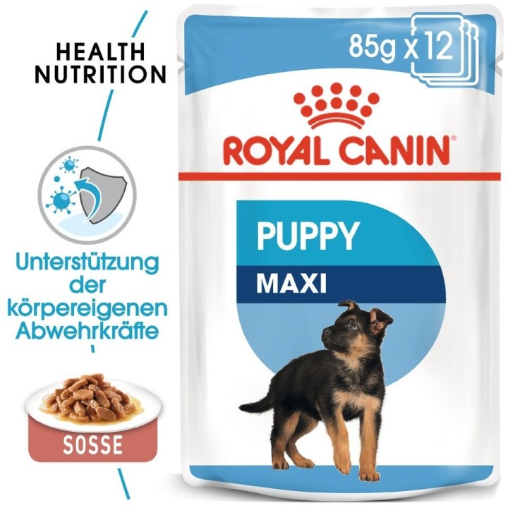 ROYAL CANIN MAXI PUPPY Welpenfutter nass für große Hunde 10 x 140 g