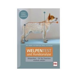 Welpentest und Hundeanalyse