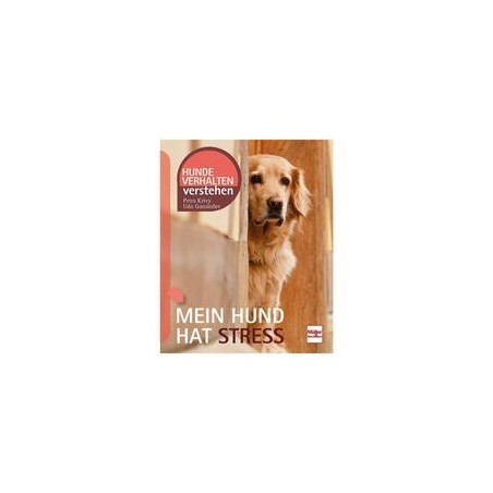 Mein Hund hat Stress