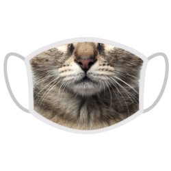 FERA Schutzmaske Katze