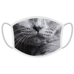 FERA Schutzmaske Britisch Kurzhaar Katze