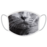 FERA Schutzmaske Britisch Kurzhaar Katze