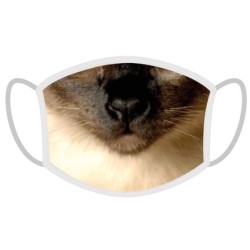 FERA Schutzmaske Siamkatze