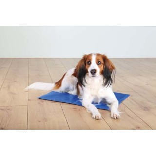 TRIXIE Kühlmatte Für Hunde Kühldecke 100x60cm blau