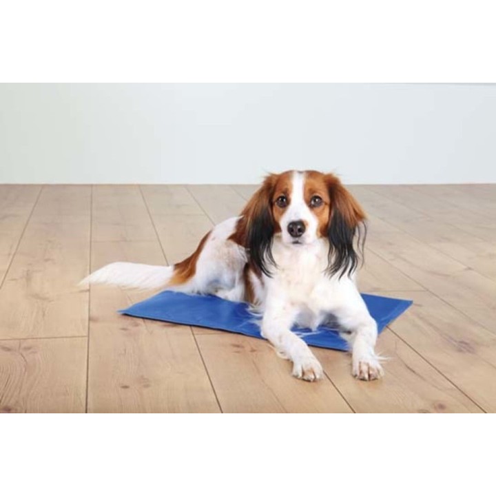 TRIXIE Kühlmatte Für Hunde Kühldecke 100x60cm blau