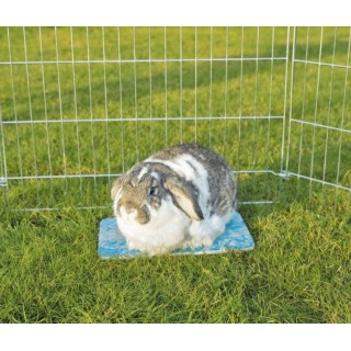 TRIXIE Kühlplatte 28 x 20 cm