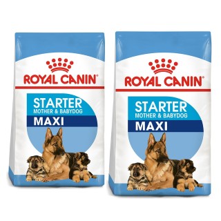 ROYAL CANIN MAXI Starter für tragende Hündin und Welpen 30 kg (2 x 15 kg)