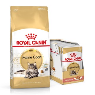 ROYAL CANIN Maine Coon Adult Katzenfutter trocken 10 kg + Maine Coon Adult nass 12 x 85 g