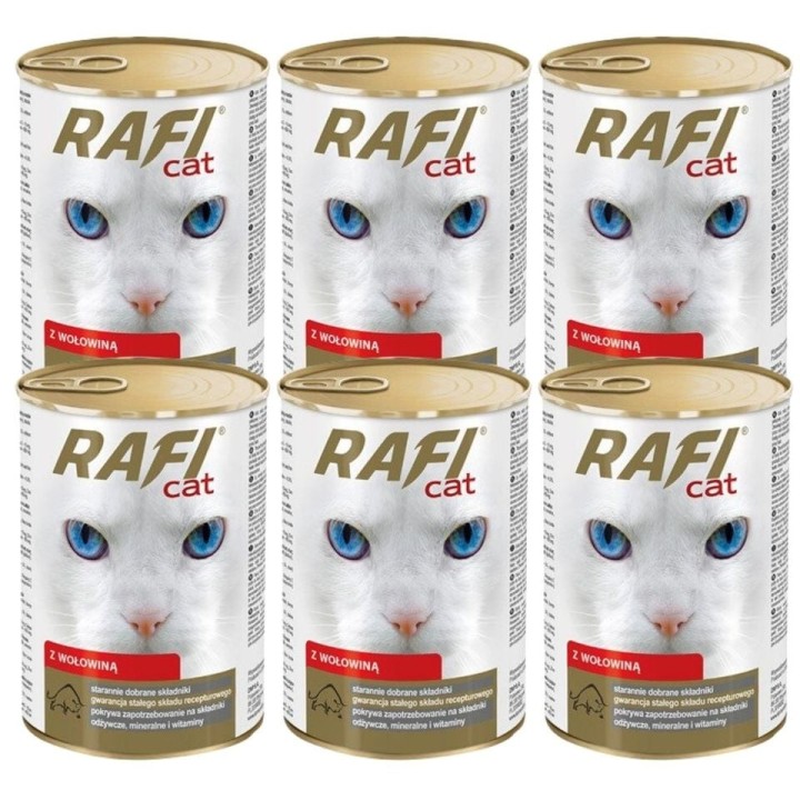 DOLINA NOTECI Rafi Adult Cat mit Rindfleisch in Sauce 6x415 g