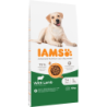 IAMS For Vitality Adult Large Breed Lamb 12 kg