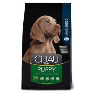 CIBAU Maxi Puppy 12 + 2 kg FREE