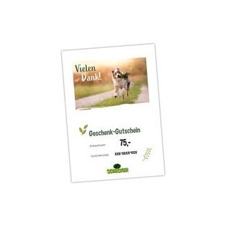 Geschenk-Gutschein zum Ausdrucken, Vielen Dank