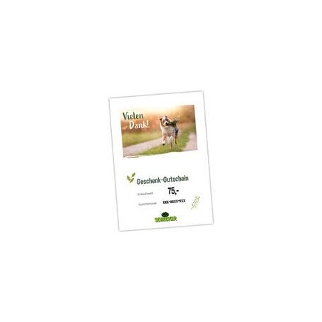 Geschenk-Gutschein zum Ausdrucken, Vielen Dank