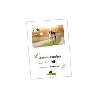 Geschenk-Gutschein zum Ausdrucken, Vielen Dank