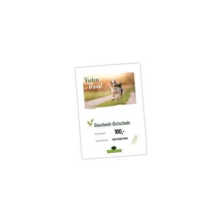 Geschenk-Gutschein zum Ausdrucken, Vielen Dank