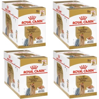 ROYAL CANIN Breed Mini Yorkshire 48 x 85 g
