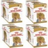 ROYAL CANIN Breed Mini Yorkshire 48 x 85 g