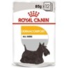 ROYAL CANIN Dermacomfort mousse 24 x 85 g