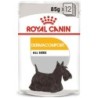 ROYAL CANIN Dermacomfort mousse 48 x 85 g
