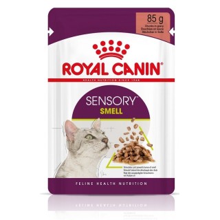 ROYAL CANIN Sensory Smell gravy 48x85 g
