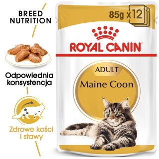 ROYAL CANIN Mainecoon 48x85 g
