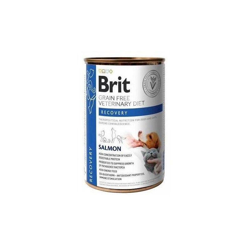BRIT Veterinary Diet Recovery Salmon Nassfutter für Hunde und Katzen 400 g