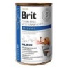 BRIT Veterinary Diet Recovery Salmon Nassfutter für Hunde und Katzen 400 g