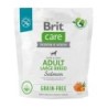 BRIT CARE Dog Grain-Free Adult large breed salmon mit Lachs für ausgewachsene Hunde großer Rassen 1kg