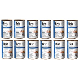 BRIT Veterinary Diet Recovery Salmon Erholungsfutter für Hunde und Katzen 12x400g
