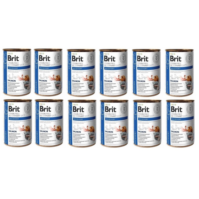 BRIT Veterinary Diet Recovery Salmon Erholungsfutter für Hunde und Katzen 12x400g