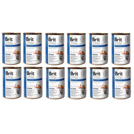 BRIT Veterinary Diet Recovery Salmon Erholungsfutter für Hunde und Katzen 12x400g