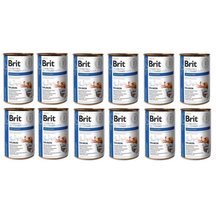 BRIT Veterinary Diet Recovery Salmon Erholungsfutter für Hunde und Katzen 12x400g