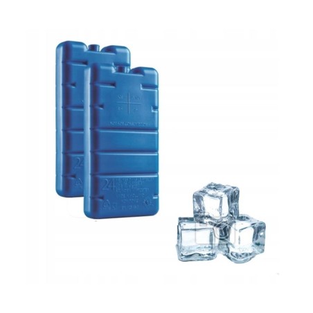 CURVER Ice Pack Reise-Kühlschrank-Einsatz 2 Stk
