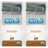 FARMINA Vet Life DIABETIC cat 2 x 2 kg