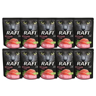 DOLINA NOTECI Rafi Cat Katzennassfutter mit Lachs 10x300 g