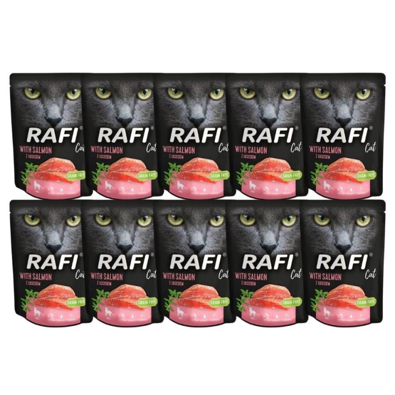 DOLINA NOTECI Rafi Cat Katzennassfutter mit Lachs 10x300 g