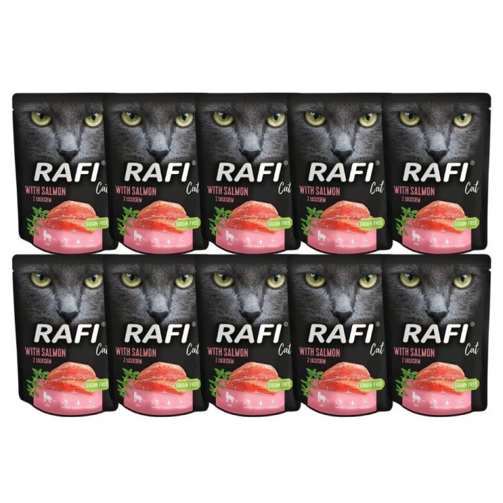 DOLINA NOTECI Rafi Cat Katzennassfutter mit Lachs 10x300 g