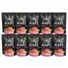 DOLINA NOTECI Rafi Cat Katzennassfutter mit Lachs 10x300 g