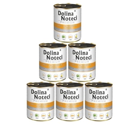 DOLINA NOTECI Premium reich an Ente mit Kürbis 6x800 g