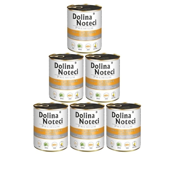 DOLINA NOTECI Premium reich an Ente mit Kürbis 6x800 g