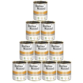 DOLINA NOTECI Premium reich an Ente mit Kürbis 10 x 800 g