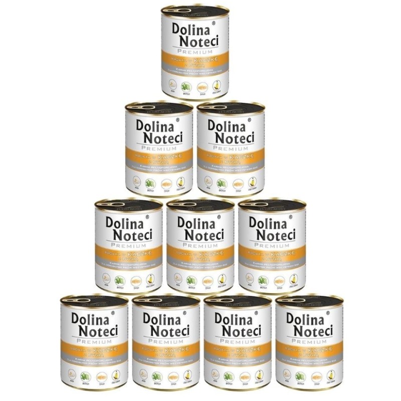 DOLINA NOTECI Premium reich an Ente mit Kürbis 10 x 800 g