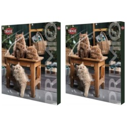 TRIXIE Adventskalender für Katzen x 2
