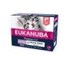 EUKANUBA Grain Free Kitten Kätzchenpastete mit Lachs 12 x 85 g