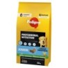 PEDIGREE Junior Professional Nutrition 12 kg mit Geflügel und Gemüse für große und mittelgroße Hundewelpen
