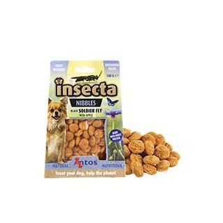 Insecta Nibbles Soldier Fly (Schwarze Soldatenfliege Apfel) [5 x 100g]