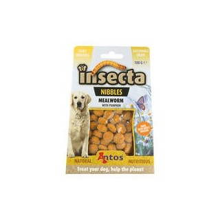 Insecta Nibbles Mealworm (Mehlwurm Kürbis) [100g]